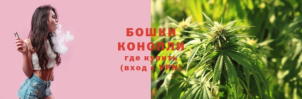 прущие грибы Алексеевка