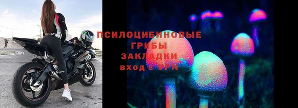 прущие грибы Алексеевка
