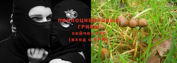 mdpv Алзамай