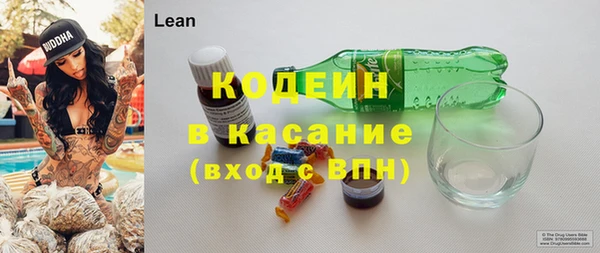 прущие грибы Алексеевка