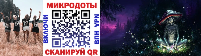 купить закладку  кракен онион  Псилоцибиновые грибы GOLDEN TEACHER  Кукмор 